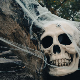 Halloween Dekoration 2025
