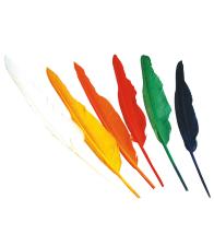 Accessoires:Indianerfedern:12 Stück, 25-30 cm, mehrfarbig 