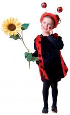 Accessoires:Costume d'enfant coccinelle avec surplis, bandeau et antennes:rouge 92 cm