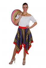 Skirt Mexicanin:colorful