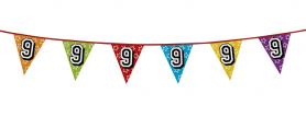 9. Anniversaire Chaîne de fanions:8m / 27 x 22cm, coloré 