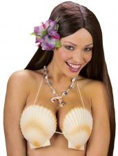 Accessoires:Haut de bikini coquillage hawaïen 
