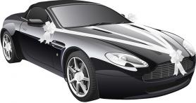 Auto Hochzeitsband:20 m, weiss 