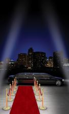 Grosser VIP Teppich (Vlies):1m x 15m / 800g, rot