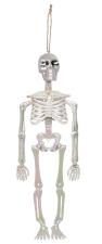 Accessoires:Skelett Perlmut:32 cm 