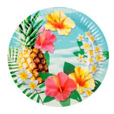Accessoires:Hawaii Assiettes en papier Paradise:10 pièce, 23 cm 