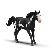 Hongre Paint Horse 
