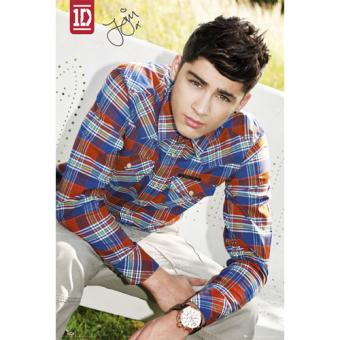 One Direction Poster: Zayn 