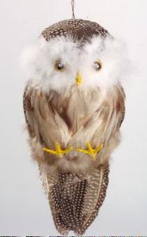 Owl with feathers:30 cm 