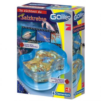 CLEMENTONI: kit crevettes saumure 