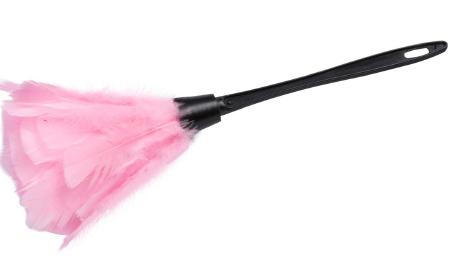 Feather duster:pink 