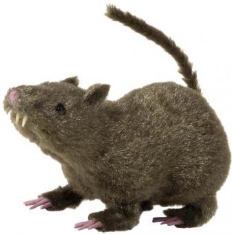 Ratte haarig:21cm, schwarz 