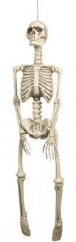 Skelett Hängedekoration : Halloween Dekoration:92 cm, weiss 
