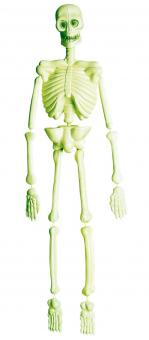 Skelett leuchtend:90 cm 