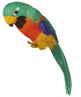 Perroquet avec des plumes et élastique:35 cm, multicolore 