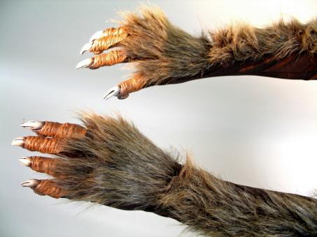 Werewolf Gloves:brown 