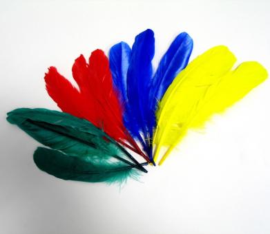 Sortierte Federn:12 Stück, 15-18 cm, mehrfarbig 