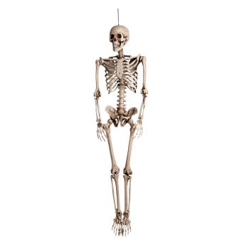 Grosses Skelett, Halloween Dekoration:160cm, weiss 