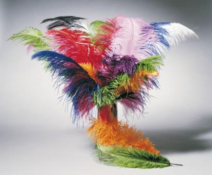 Ostrich feather:30 - 40 cm, multicolored Rouge