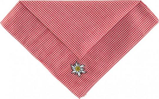 Oktoberfest:Traditional cloth checkered:red 