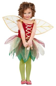 Costume Fantasy fairy:multicolored 