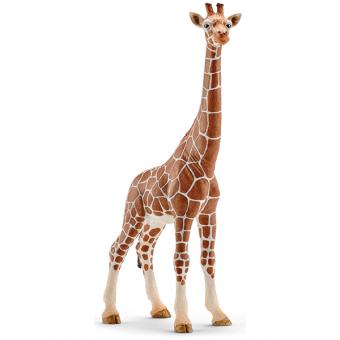 SCHLEICH: Giraffe cow:18 cm 
