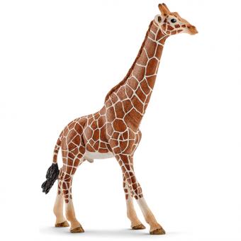 SCHLEICH: taureau girafe 