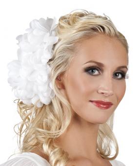 Hairflower Dahlia:white 