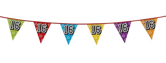 16. Birthday Pennant chain:8m / 27 x 22cm, multicolored 