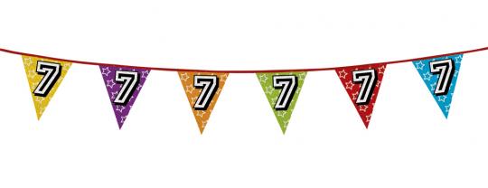 7. Geburtstag Wimpelkette:8m / 27 x 22cm, bunt 