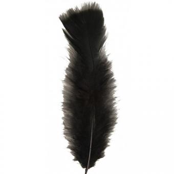 Plumes:50 pièce, 10 cm, noir 