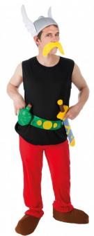 Asterix Costume: Gallier Costume:multicolored 