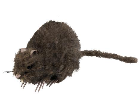 Petit rat:15 x 8 cm 