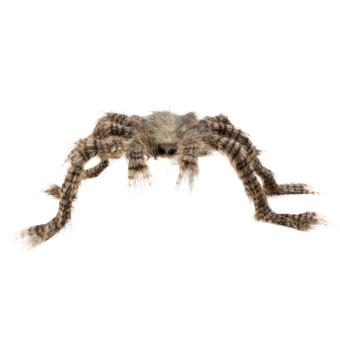 Hairy tarantula spider:50 x 70 cm, brown 