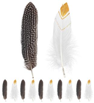 Indianerfedern:12 Stück, braun/weiss 