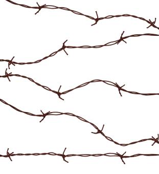 Barbed Wire:2.1 m 