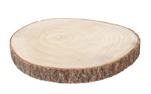 Runde Holzplatte mit Rinde:32 - 37 cm / 3.5 cm 