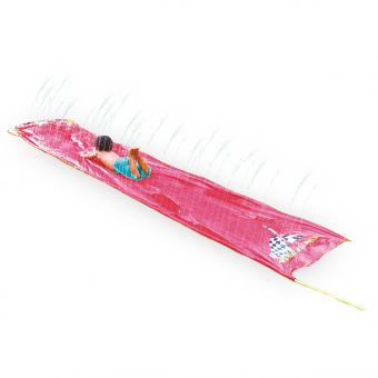 HAPPY PEOPLE Toboggan aquatique:500 x 90 cm 