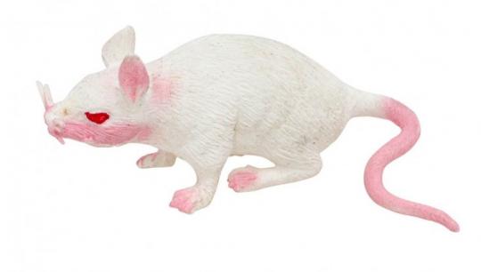 Stretch rat:16.5 x 3.5 x 5cm, white 