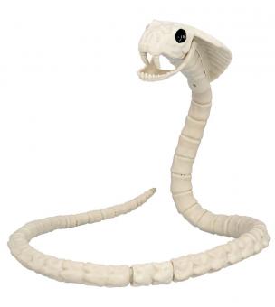 Squelette de Serpent:102 cm 