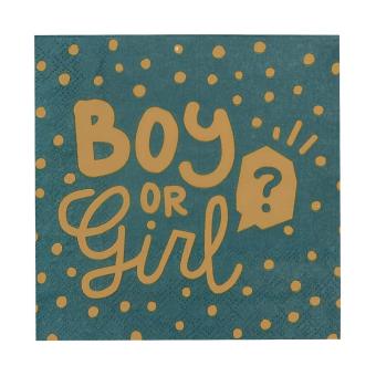 Boy or Girl? Papierservietten:20 Stück, 33 x 33 cm, mehrfarbig 