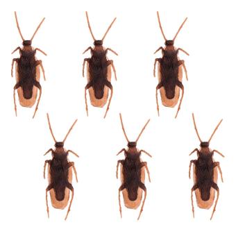 Cafards:6 pièce, 2.5 x 7.5 cm 