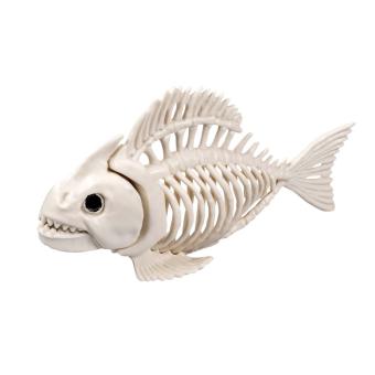 Squelette de poisson:24 cm 