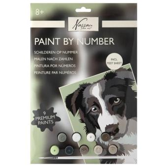 Peinture par numéros chien: comprend des peintures et des pinceaux:33.5 x 23.8 cm 
