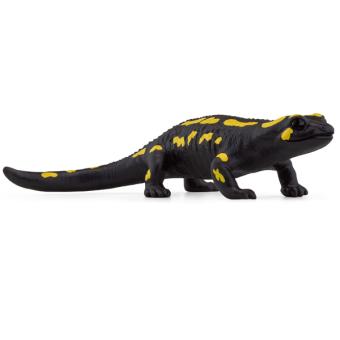Fire salamander 