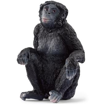 Bonobo female 