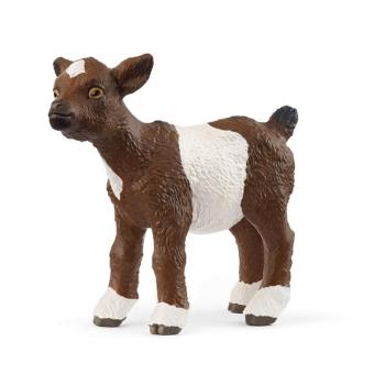 Young Goat 