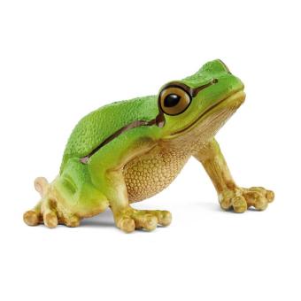 European tree frog 