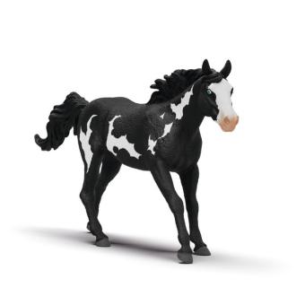 Paint Horse Gelding 