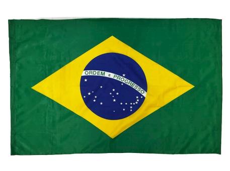 Fahne Brasilien mit Ösen:90x150cm, grün 